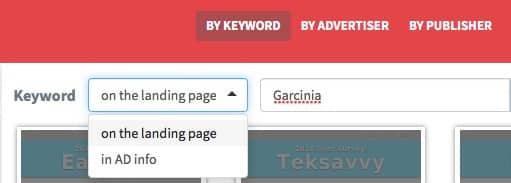 keyword landing page
