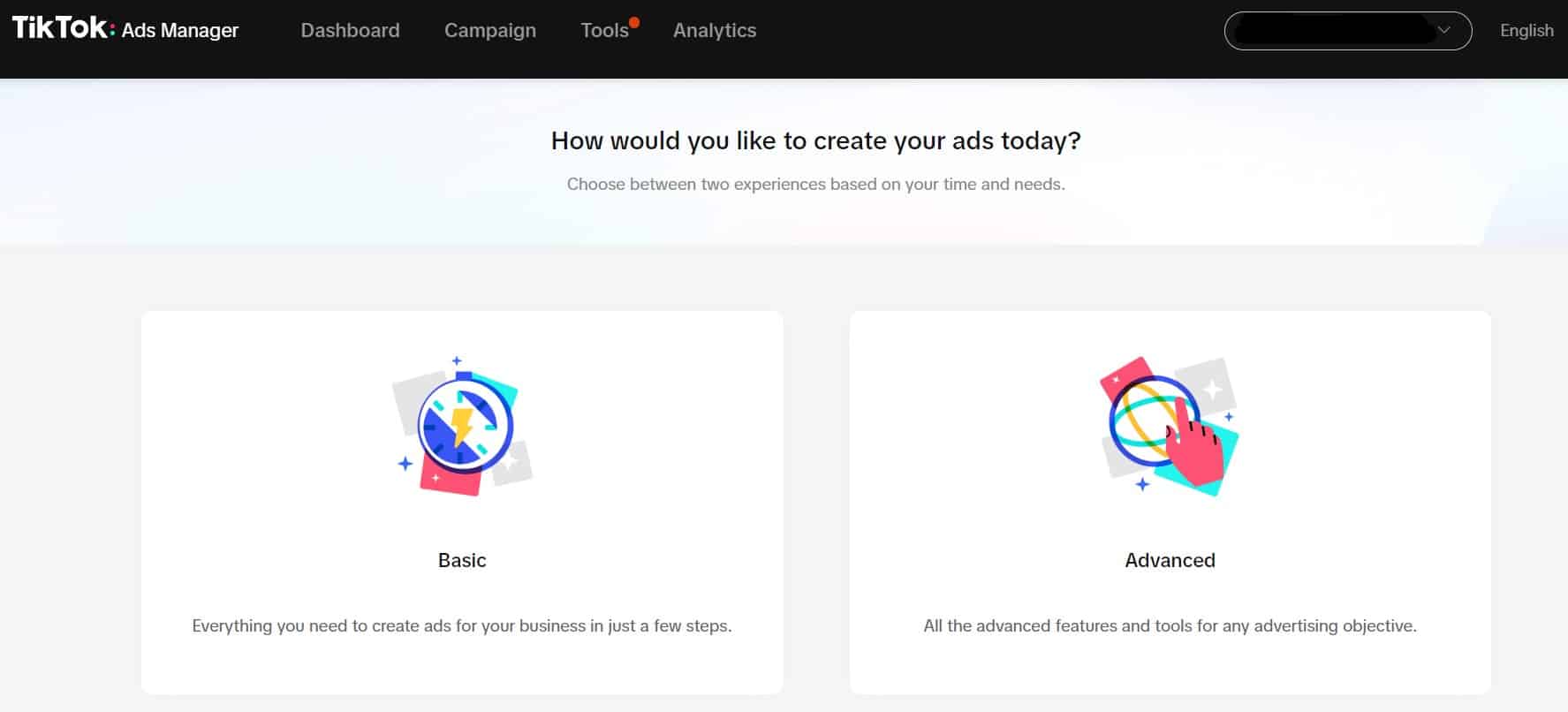 tiktok dating ad network